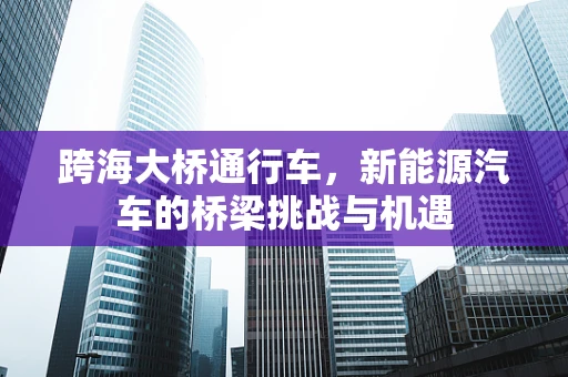 跨海大桥通行车，新能源汽车的桥梁挑战与机遇