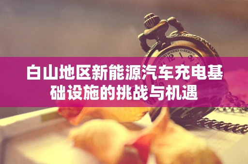 白山地区新能源汽车充电基础设施的挑战与机遇