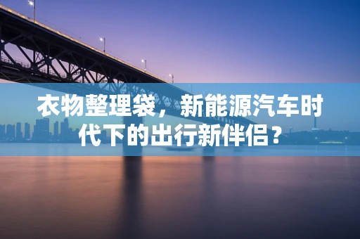 衣物整理袋，新能源汽车时代下的出行新伴侣？