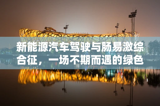 新能源汽车驾驶与肠易激综合征，一场不期而遇的绿色健康挑战？