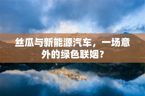 丝瓜与新能源汽车，一场意外的绿色联姻？