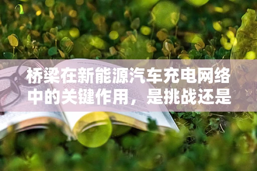 桥梁在新能源汽车充电网络中的关键作用，是挑战还是机遇？