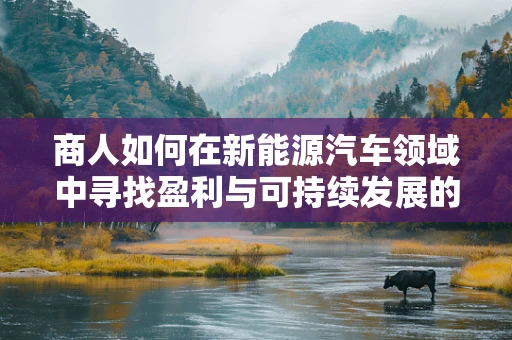 商人如何在新能源汽车领域中寻找盈利与可持续发展的平衡点？