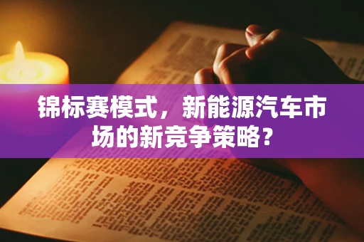 锦标赛模式，新能源汽车市场的新竞争策略？