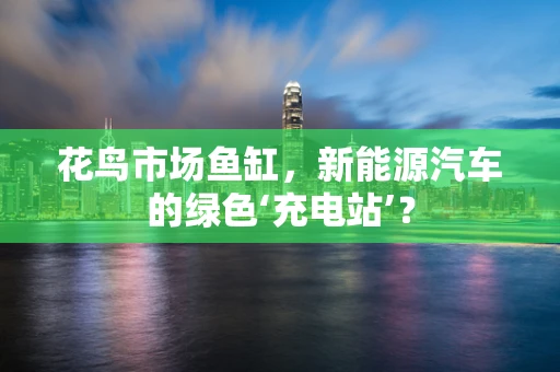 花鸟市场鱼缸，新能源汽车的绿色‘充电站’？