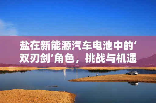 盐在新能源汽车电池中的‘双刃剑’角色，挑战与机遇并存