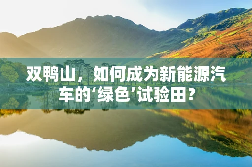双鸭山，如何成为新能源汽车的‘绿色’试验田？