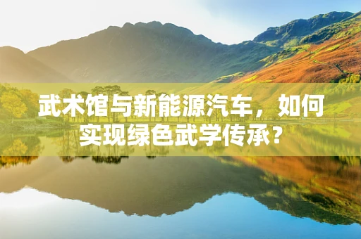 武术馆与新能源汽车，如何实现绿色武学传承？