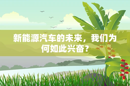 新能源汽车的未来，我们为何如此兴奋？