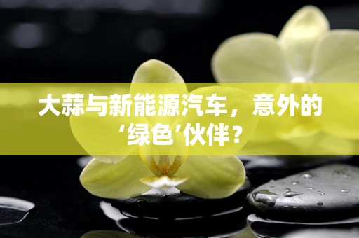 大蒜与新能源汽车，意外的‘绿色’伙伴？