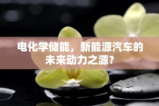 电化学储能，新能源汽车的未来动力之源？