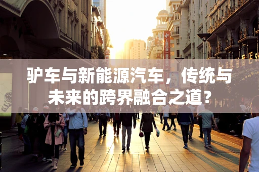 驴车与新能源汽车，传统与未来的跨界融合之道？