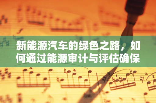 新能源汽车的绿色之路，如何通过能源审计与评估确保其可持续性？