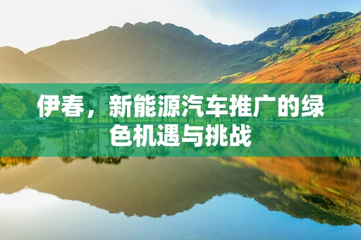 伊春，新能源汽车推广的绿色机遇与挑战