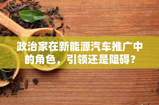 政治家在新能源汽车推广中的角色，引领还是阻碍？