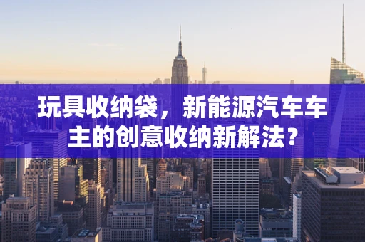 玩具收纳袋，新能源汽车车主的创意收纳新解法？
