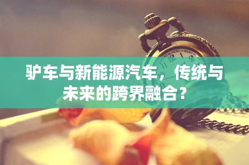 驴车与新能源汽车，传统与未来的跨界融合？
