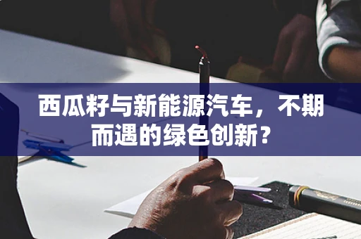 西瓜籽与新能源汽车，不期而遇的绿色创新？