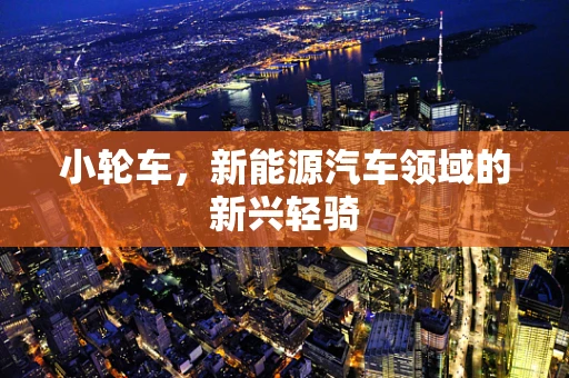 小轮车，新能源汽车领域的新兴轻骑