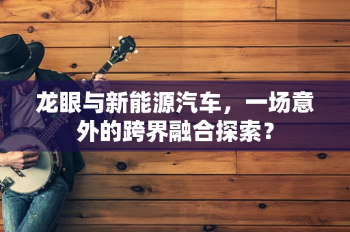 龙眼与新能源汽车，一场意外的跨界融合探索？