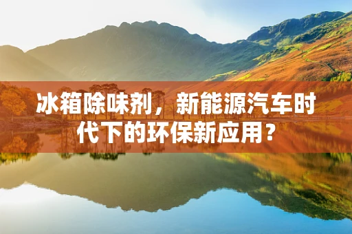 冰箱除味剂，新能源汽车时代下的环保新应用？