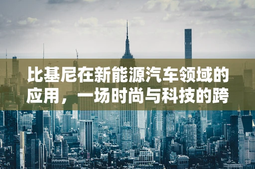 比基尼在新能源汽车领域的应用，一场时尚与科技的跨界碰撞？