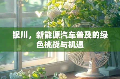 银川，新能源汽车普及的绿色挑战与机遇
