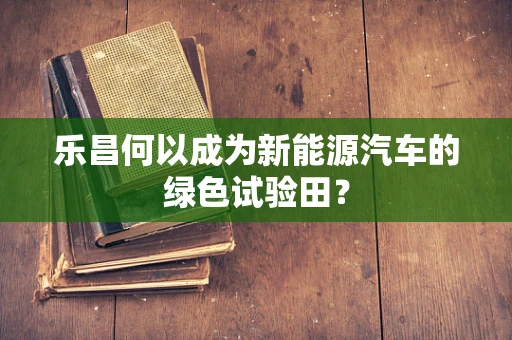 乐昌何以成为新能源汽车的绿色试验田？
