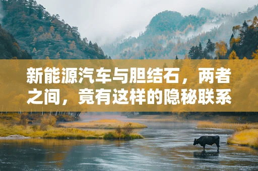 新能源汽车与胆结石，两者之间，竟有这样的隐秘联系？