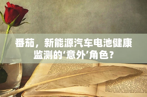 番茄，新能源汽车电池健康监测的‘意外’角色？