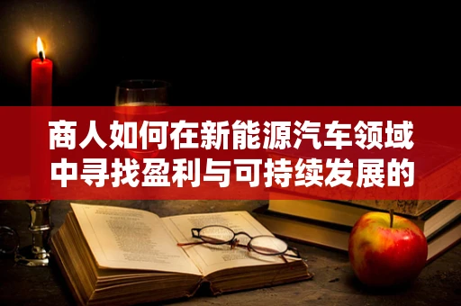 商人如何在新能源汽车领域中寻找盈利与可持续发展的平衡？
