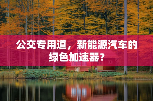 公交专用道，新能源汽车的绿色加速器？