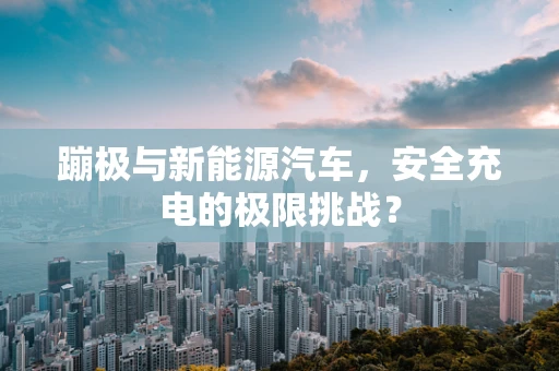 蹦极与新能源汽车，安全充电的极限挑战？