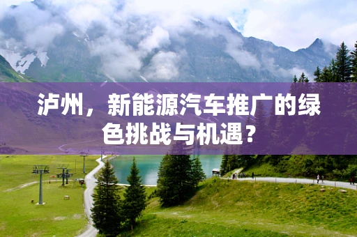 泸州，新能源汽车推广的绿色挑战与机遇？
