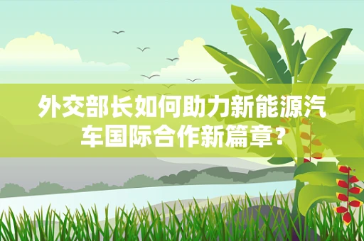 外交部长如何助力新能源汽车国际合作新篇章？