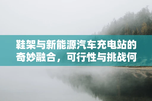 鞋架与新能源汽车充电站的奇妙融合，可行性与挑战何在？