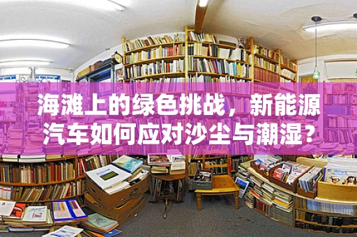 海滩上的绿色挑战，新能源汽车如何应对沙尘与潮湿？