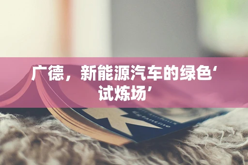 广德，新能源汽车的绿色‘试炼场’