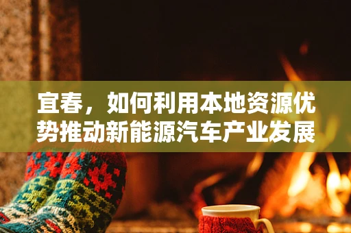 宜春，如何利用本地资源优势推动新能源汽车产业发展？