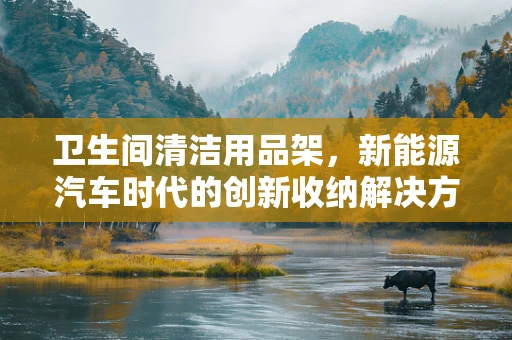 卫生间清洁用品架，新能源汽车时代的创新收纳解决方案？
