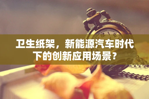 卫生纸架，新能源汽车时代下的创新应用场景？