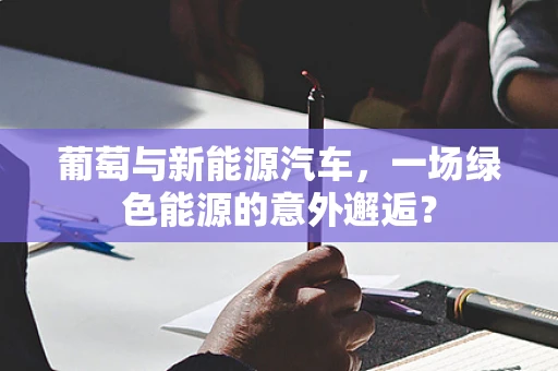 葡萄与新能源汽车，一场绿色能源的意外邂逅？