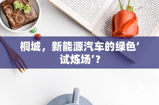 桐城，新能源汽车的绿色‘试炼场’？