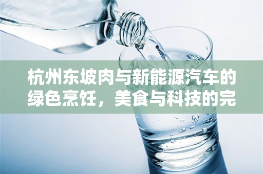 杭州东坡肉与新能源汽车的绿色烹饪，美食与科技的完美融合