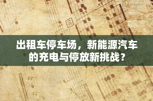 出租车停车场，新能源汽车的充电与停放新挑战？