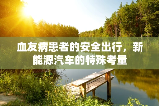 血友病患者的安全出行，新能源汽车的特殊考量