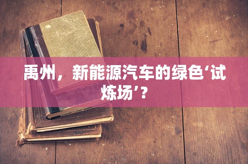 禹州，新能源汽车的绿色‘试炼场’？