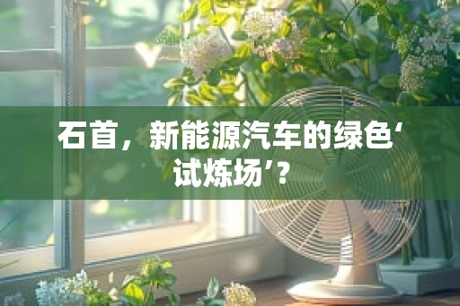 石首，新能源汽车的绿色‘试炼场’？
