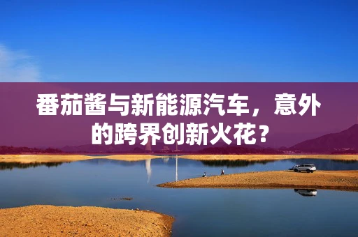 番茄酱与新能源汽车，意外的跨界创新火花？