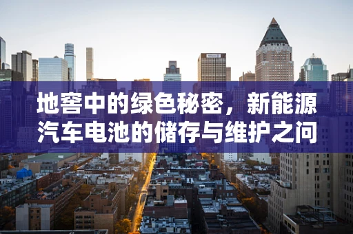 地窖中的绿色秘密，新能源汽车电池的储存与维护之问